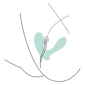 DuoVibe II – Vibrator punct G cu Tapping, 9 Moduri, Reîncărcabil Mint Thumb 3