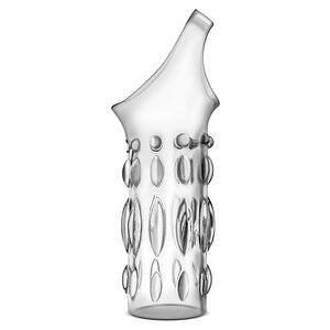 Manșon Penis Performance Studed Transparent Thumb 1