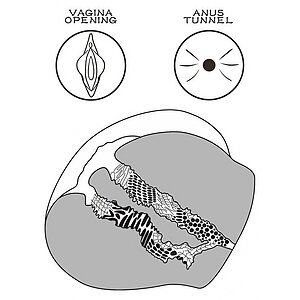 Masturbator Lovetoy Streetgirls #12 — TPE Ultra-moale Thumb 9