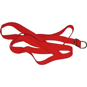 Set Bondage Bad Kitty Roșu Thumb 3